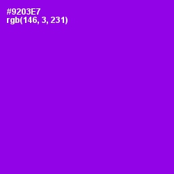 #9203E7 - Electric Violet Color Image