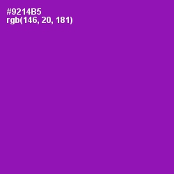 #9214B5 - Violet Eggplant Color Image