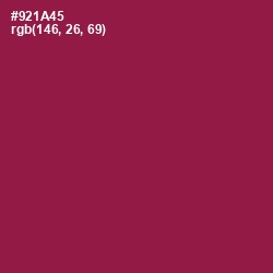 #921A45 - Disco Color Image