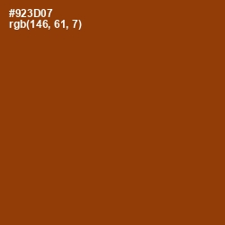 #923D07 - Cognac Color Image