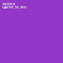 #9337C9 - Electric Violet Color Image
