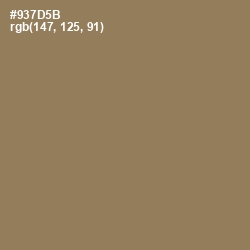 #937D5B - Leather Color Image