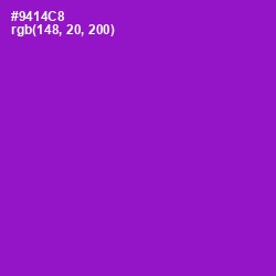 #9414C8 - Electric Violet Color Image