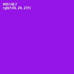 #9514E7 - Electric Violet Color Image