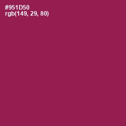 #951D50 - Disco Color Image