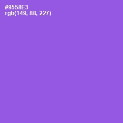 #9558E3 - Medium Purple Color Image