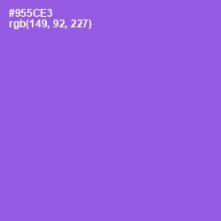 #955CE3 - Medium Purple Color Image
