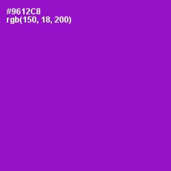 #9612C8 - Electric Violet Color Image