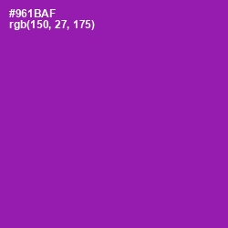 #961BAF - Violet Eggplant Color Image