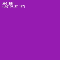 #961BB1 - Violet Eggplant Color Image