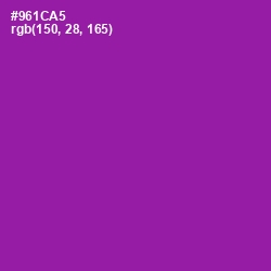 #961CA5 - Violet Eggplant Color Image