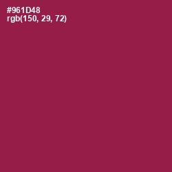 #961D48 - Disco Color Image