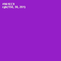 #961EC9 - Electric Violet Color Image