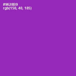#9628B9 - Violet Eggplant Color Image