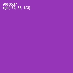 #9635B7 - Vivid Violet Color Image