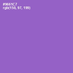 #9661C7 - Amethyst Color Image