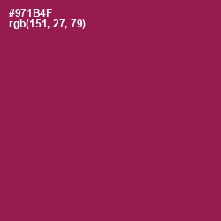 #971B4F - Disco Color Image