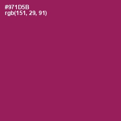 #971D5B - Disco Color Image