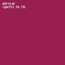 #971E4F - Disco Color Image