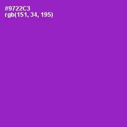 #9722C3 - Electric Violet Color Image