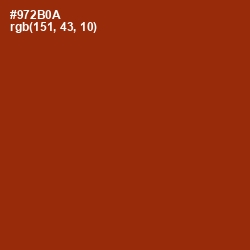 #972B0A - Cognac Color Image