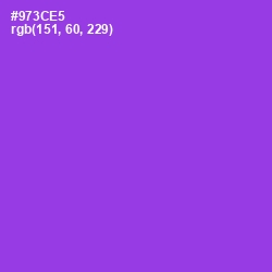 #973CE5 - Electric Violet Color Image