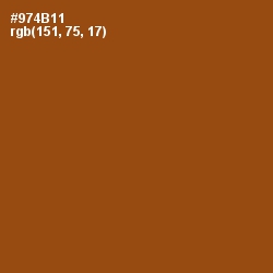 #974B11 - Korma Color Image