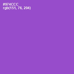 #974CCC - Amethyst Color Image