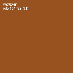 #97521F - Hawaiian Tan Color Image