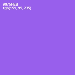 #975FEB - Medium Purple Color Image