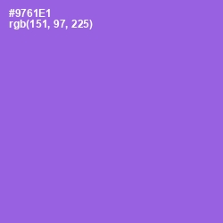 #9761E1 - Medium Purple Color Image