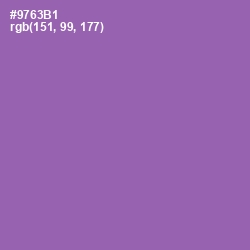#9763B1 - Wisteria Color Image