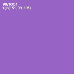 #9763C4 - Amethyst Color Image