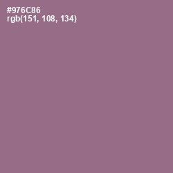 #976C86 - Strikemaster Color Image