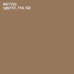 #97775C - Leather Color Image