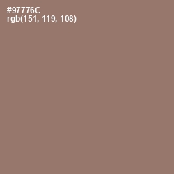 #97776C - Almond Frost Color Image