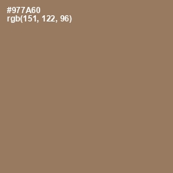 #977A60 - Cement Color Image