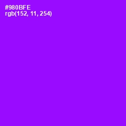 #980BFE - Electric Violet Color Image