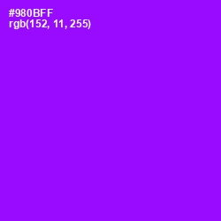 #980BFF - Electric Violet Color Image