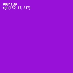 #9811D9 - Electric Violet Color Image