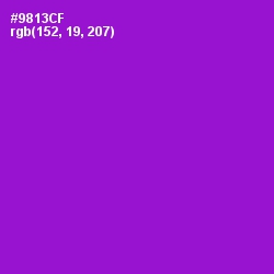 #9813CF - Electric Violet Color Image