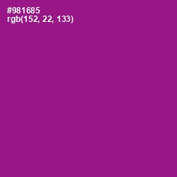 #981685 - Violet Eggplant Color Image