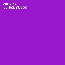 #9817CD - Electric Violet Color Image