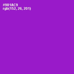 #981AC9 - Electric Violet Color Image