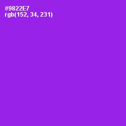 #9822E7 - Electric Violet Color Image