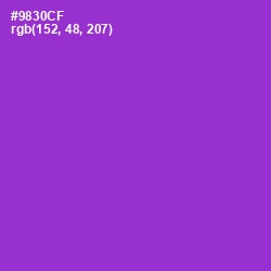 #9830CF - Electric Violet Color Image