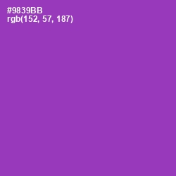 #9839BB - Vivid Violet Color Image