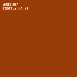 #983D07 - Cognac Color Image