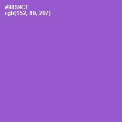 #9859CF - Amethyst Color Image