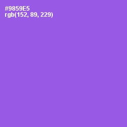 #9859E5 - Medium Purple Color Image